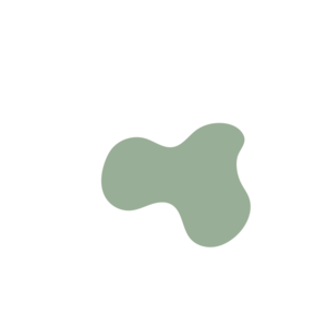 Fb19cd16-placeholder-1770032116