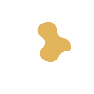 E49774d1-placeholder-1770016867