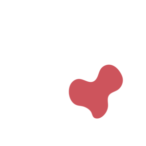 089dd30e-placeholder-1769110025