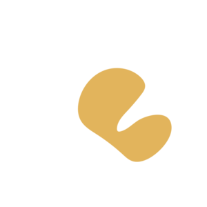 1c04e9e2-placeholder-1770029888