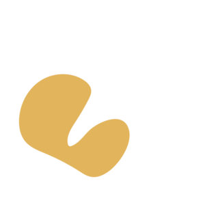 414bec0a-placeholder-1770019406