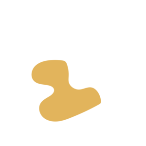 Bf437e78-placeholder-1769191695