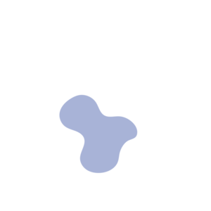 148d411a-placeholder-1770018969