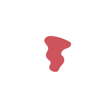 B91cf881-placeholder-1770017898