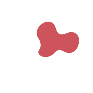 E548894f-placeholder-1770018970