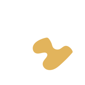 02b0c69e-placeholder-1770022787