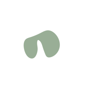 70ff8ba8-placeholder-1770010573