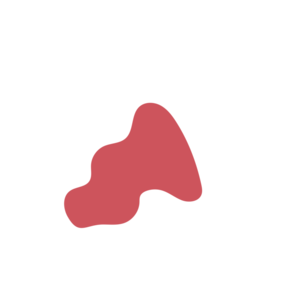 2202e442-placeholder-1770012357