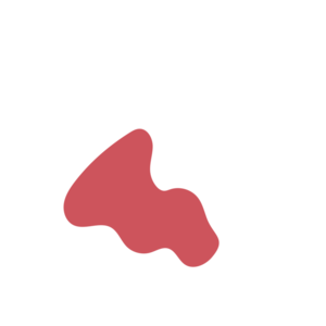 A253f7f9-placeholder-1770007802