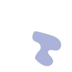 81ed4d71-placeholder-1770031692