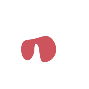 559fdd4c-placeholder-1770011934