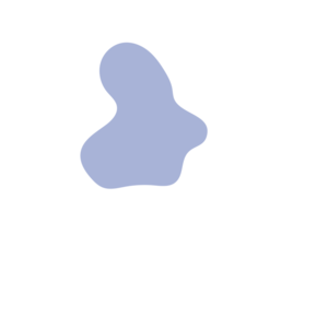 2b709f90-placeholder-1770017237