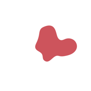 89dc302d-placeholder-1770005453