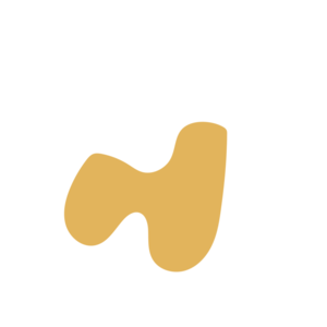 4600a3c5-placeholder-1770030851