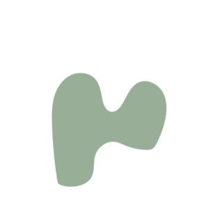 8a511347-placeholder-1770049009