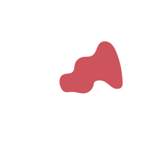 7b619733-placeholder-1770018332