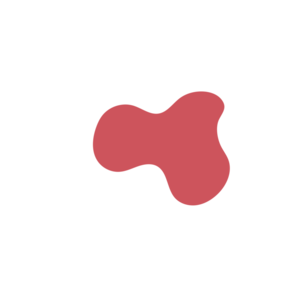 0496946e-placeholder-1770006208