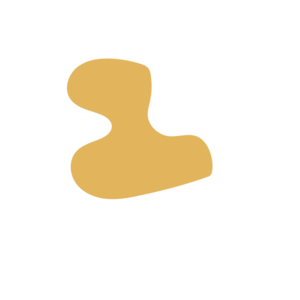 Da583034-placeholder-1770005381