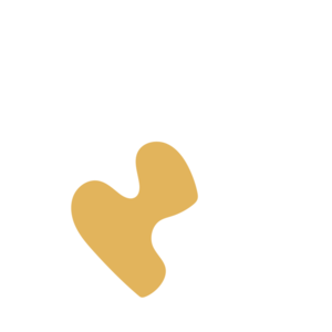 4ed8683e-placeholder-1770016547