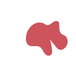 443019e0-placeholder-1770017505