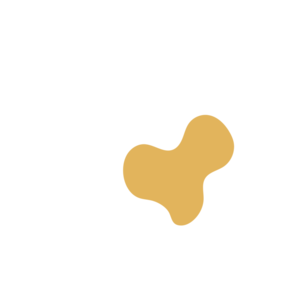 37836091-placeholder-1770055744