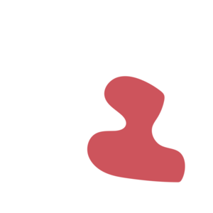 4e253f59-placeholder-1770047736