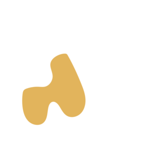 24fe905b-placeholder-1770022138