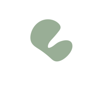 De1dbe3b-placeholder-1770005692