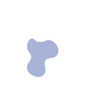 6e36950e-placeholder-1770023678