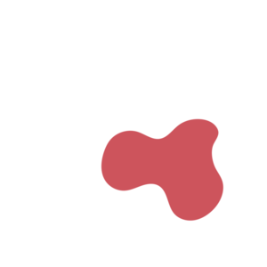 2847ae92-placeholder-1770024178