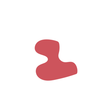 5d2a219c-placeholder-1770019614