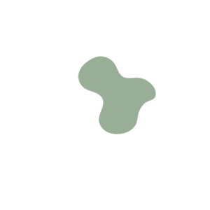 7ff7b1e5-placeholder-1770024782