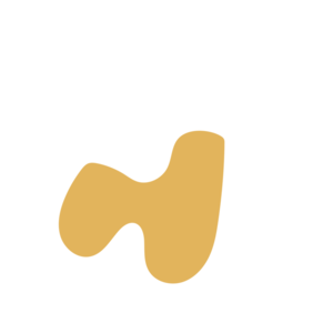 F8c88aca-placeholder-1770005297