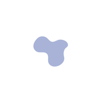 Fd6cf4a1-placeholder-1770021288