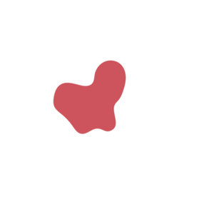 544c5245-placeholder-1770018415