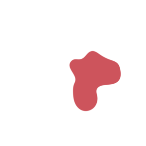 F5808c97-placeholder-1770031259