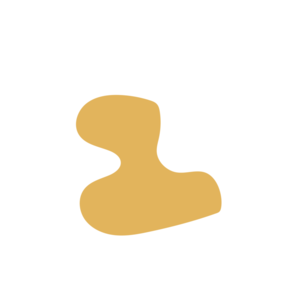 68db38cc-placeholder-1770012908