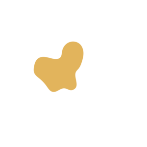 D3f04718-placeholder-1770039095