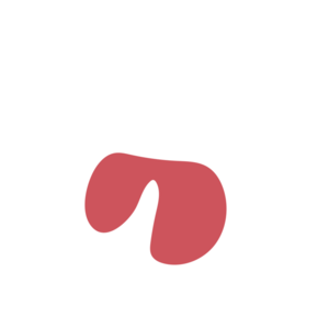 876c3685-placeholder-1770032149