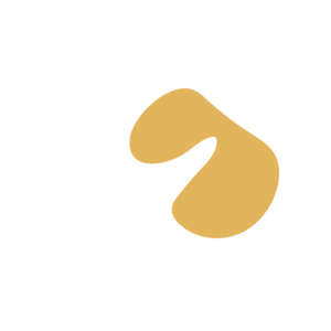 75d281aa-placeholder-1770048216