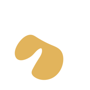 4c6be8f4-placeholder-1770024531