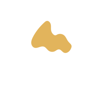 7f5c8cbd-placeholder-1770023703