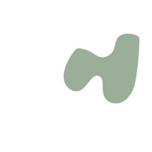 7b17b7e5-placeholder-1770016549