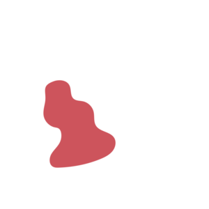 8426b14c-placeholder-1770019885