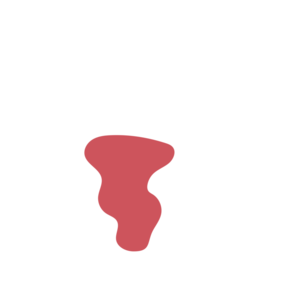 2f20c482-placeholder-1770056201