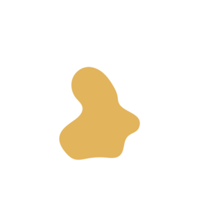 2cdcfb28-placeholder-1770021416