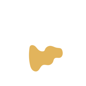 E79b7435-placeholder-1770005064