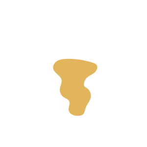 5b8fb4dc-placeholder-1770021619