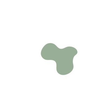 0b04933f-placeholder-1770007968