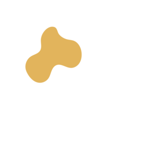 23200ac1-placeholder-1770011429